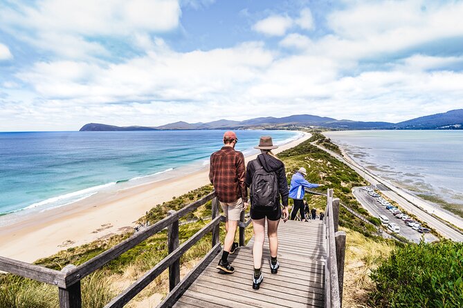 Cradle Mountain OMG! Hobart to Cradle Active Day Trip - The return journey, Deloraine dinner, and starry skies