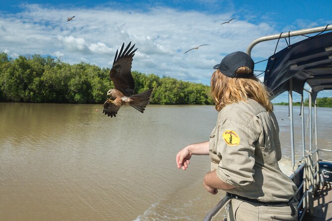 Crocodile Jumping Boat Cruise with Transfer from Darwin - My Take: Book It for an Easy Crocodile Morning