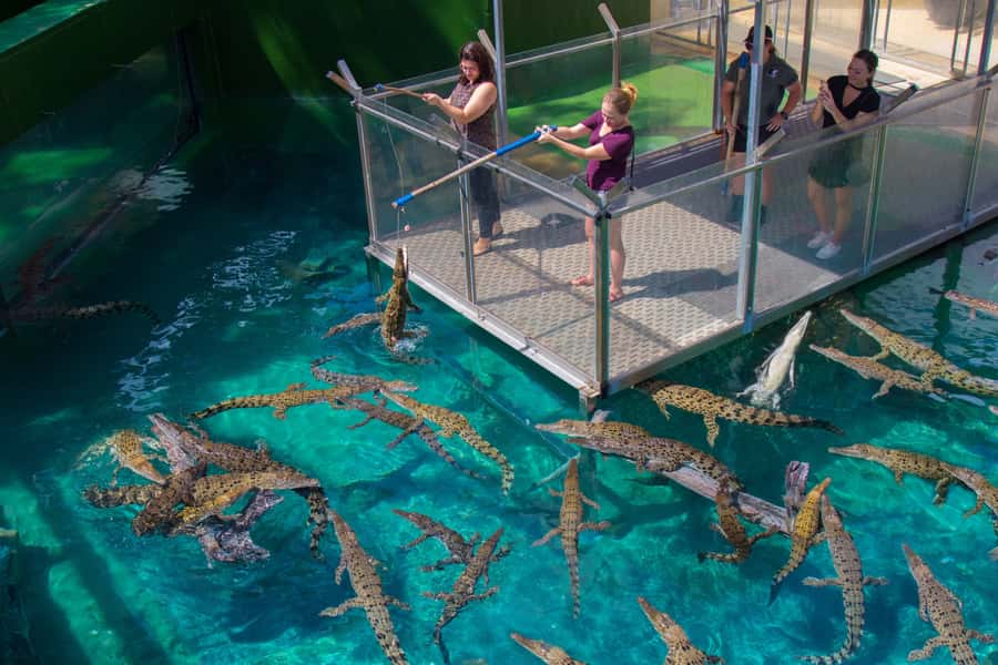 Crocosaurus Cove General Admission Ticket - How to use the one-day ticket