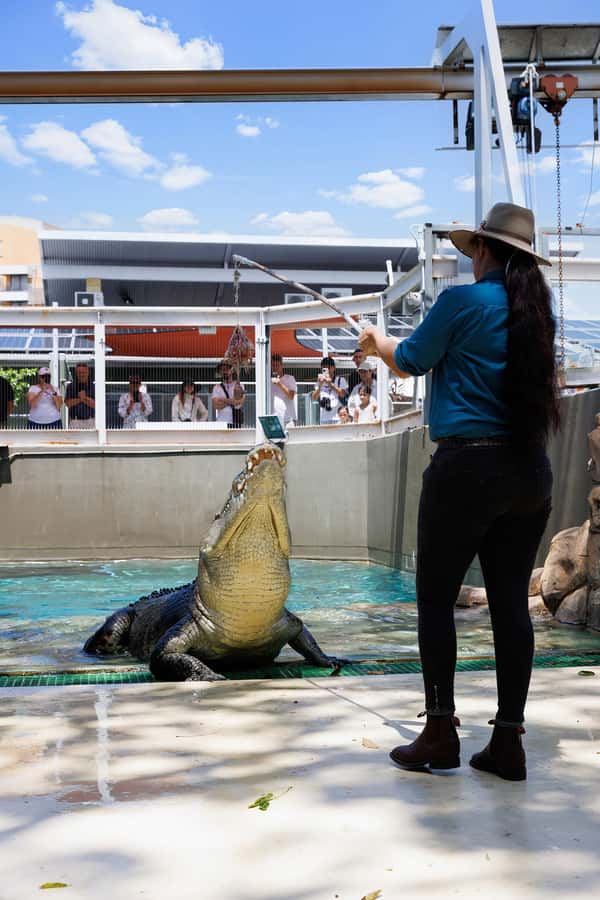 Crocosaurus Cove General Admission Ticket - Why the giant crocodiles make an impression