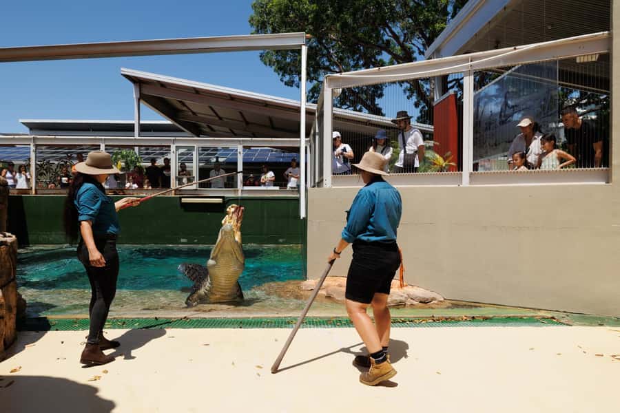 Crocosaurus Cove General Admission Ticket - The feeding schedule is the real backbone