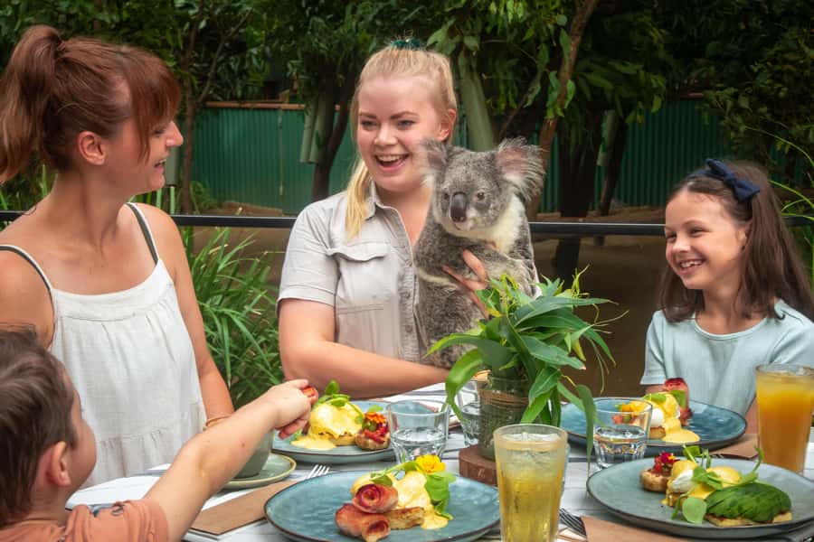 Currumbin Wildlife Sanctuary Entry Ticket - Why Currumbin works so well as a first wildlife stop