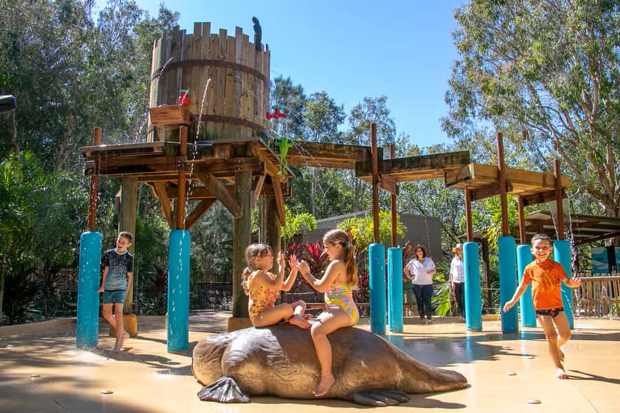 Currumbin Wildlife Sanctuary Entry Ticket - Kangaroos, koalas, and the appeal of contact