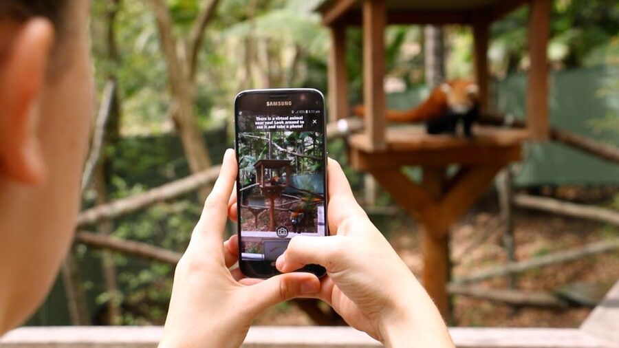 Currumbin Wildlife Sanctuary Entry Ticket - Lost Valley feels different from the open animal areas