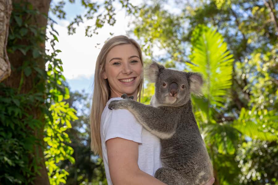 Currumbin Wildlife Sanctuary Entry Ticket - Start with the lorikeets if you can