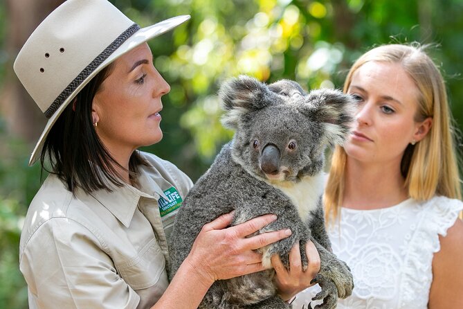 Currumbin Wildlife Sanctuary General Entry Ticket - Lost Valley brings in the wider world