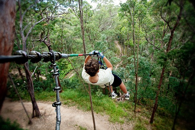Currumbin Wildlife Sanctuary General Entry Ticket - Australian animals in natural-style settings