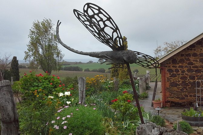 d'Arenberg Cube / McLaren Vale Regional Tour - Coffee first at McLaren Vale and Dawn Patrol