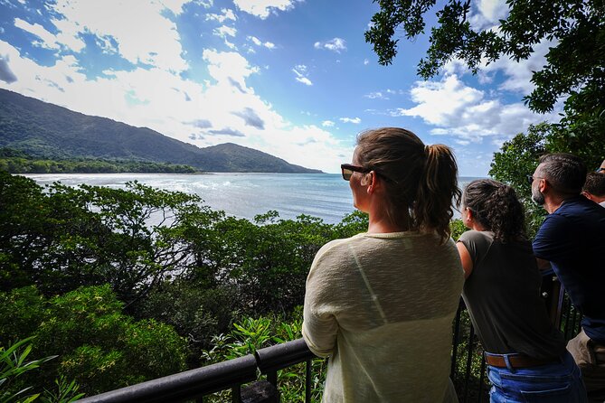Daintree, Cape Tribulation & River Cruise from Port Douglas - Why this Daintree day works so well