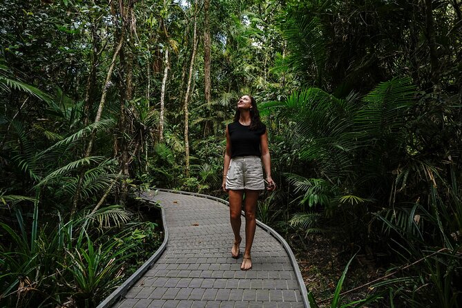Daintree, Cape Tribulation & River Cruise from Port Douglas - Lunch at Heritage Lodge and On The Turps