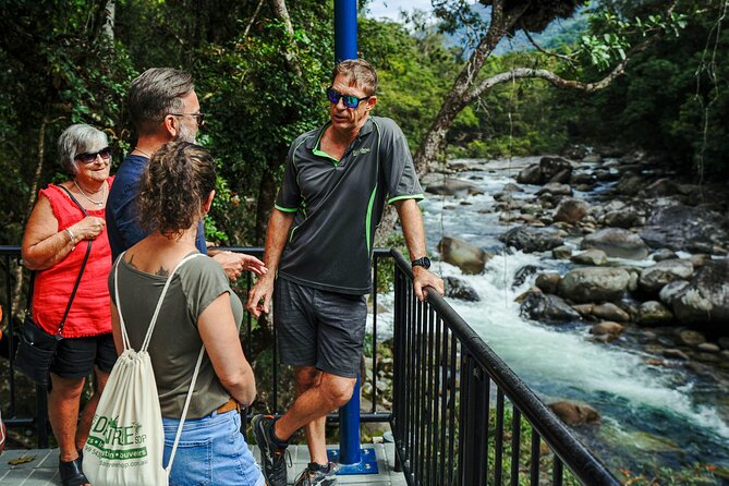 Daintree, Cape Tribulation & River Cruise from Port Douglas - Tropical fruit ice cream and Alexandra Lookout