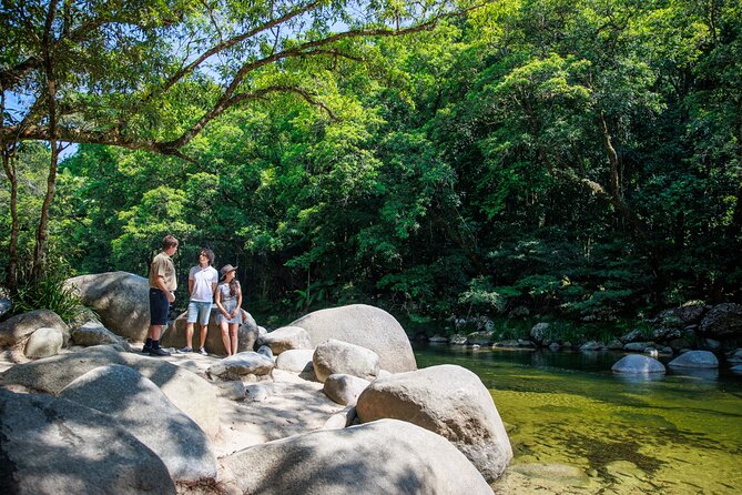 Daintree Rainforest and Cape Tribulation Day Tour from Cairns - Why this Daintree day works well from Cairns