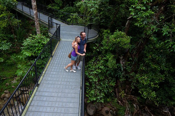 Daintree Rainforest and Cape Tribulation Day Tour from Cairns - A private rainforest lunch adds a local flavor