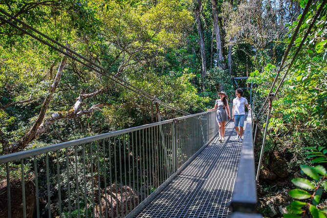 Daintree Rainforest and Cape Tribulation Day Tour from Cairns - Cape Tribulation Beach brings rainforest to the sea