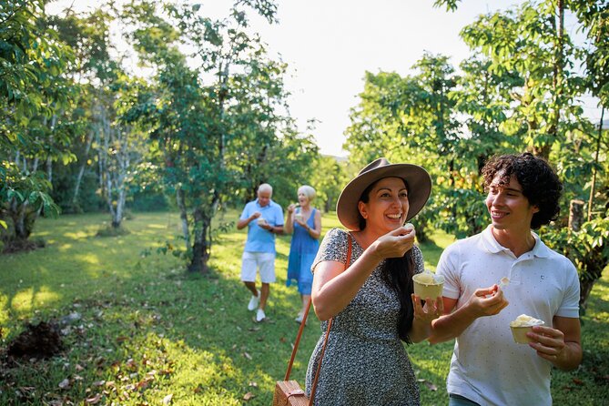 Daintree Rainforest and Cape Tribulation Day Tour from Cairns - Alexandra Lookout offers the final big view