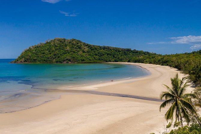 Daintree Rainforest and Cape Tribulation Day Tour from Cairns - Transport, group size, and the pace of the day