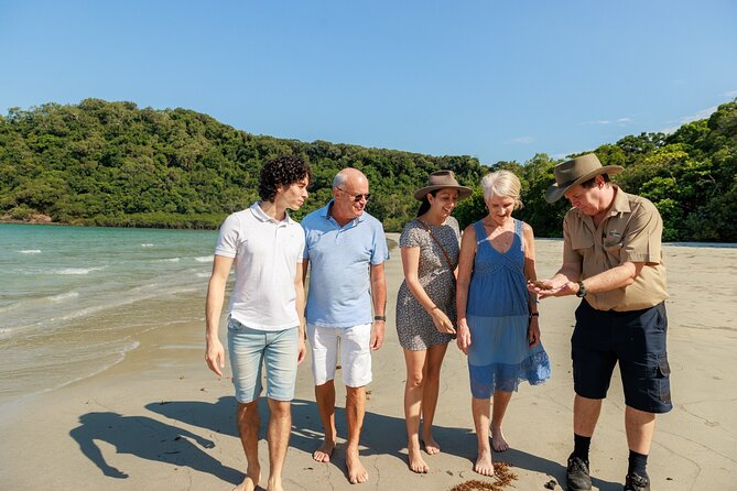 Daintree Rainforest and Cape Tribulation Day Tour from Cairns - Mossman Gorge starts the day with an easy rainforest walk