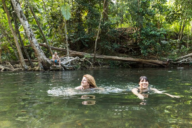 Daintree Rainforest and Cape Tribulation Full Day Tour - Spotting crocodiles on the Daintree River