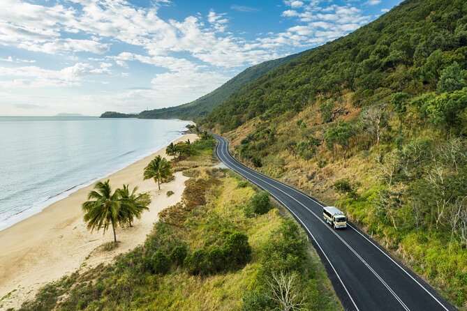 Daintree Rainforest and Cape Tribulation Full Day Tour - Reading the forest on a guided boardwalk