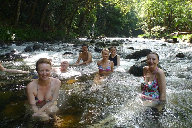 Daintree Rainforest, Mossman Gorge Small-Group from Port Douglas - Why this nine-hour tour works well from Port Douglas