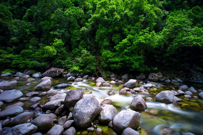 Daintree Rainforest, Mossman Gorge Small-Group from Port Douglas - Alexandra Lookout opens the view beyond the trees