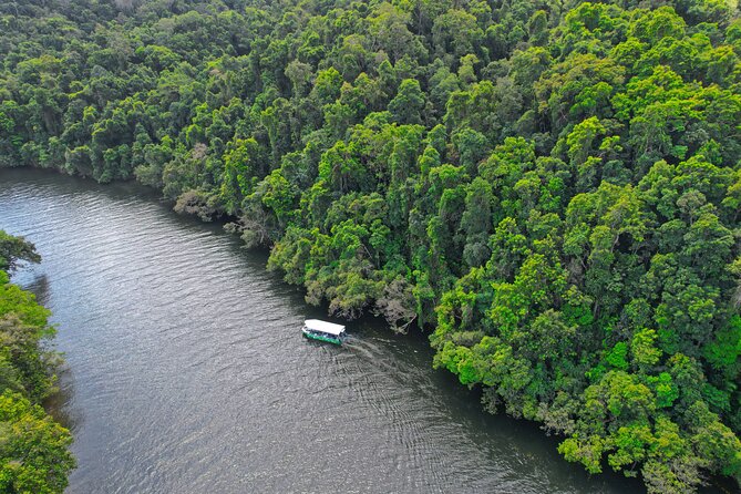 Daintree River Cruise - A quiet river trip with real wildlife