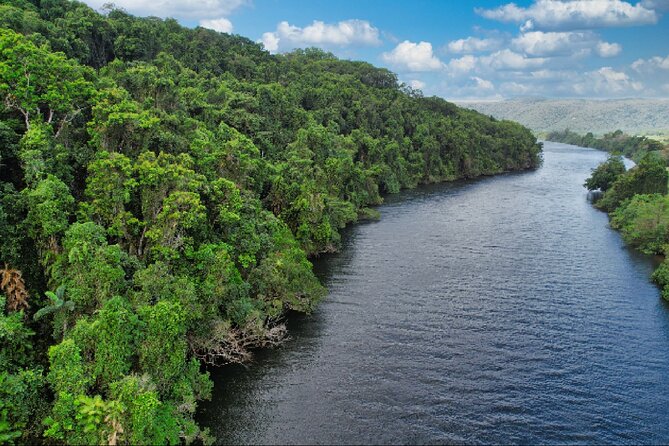 Daintree River Cruise - The bonus cruise changes the value