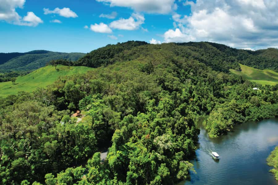 Daintree: River Rainforest Crocodile & Wildlife Cruise (DV) - Lower Daintree near the ferry