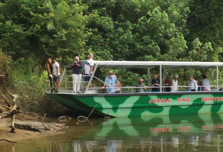 Daintree: River Rainforest Crocodile & Wildlife Cruise (DV) - Timing your two cruises