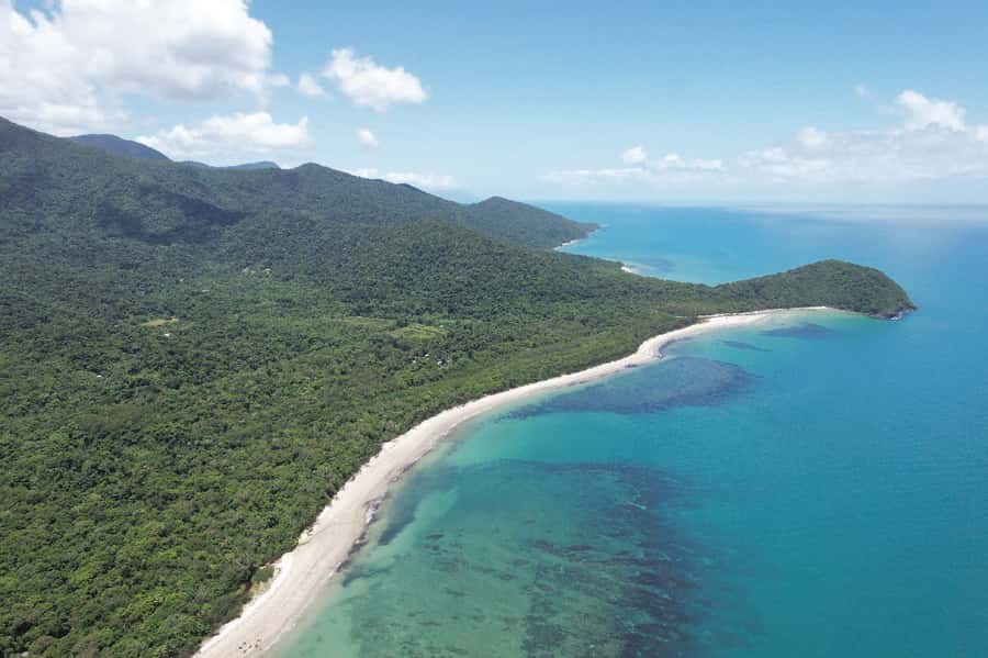 Daintree River Rainforest: Crocodile & Wildlife Cruises (DG) - Timing, tides, and wildlife odds