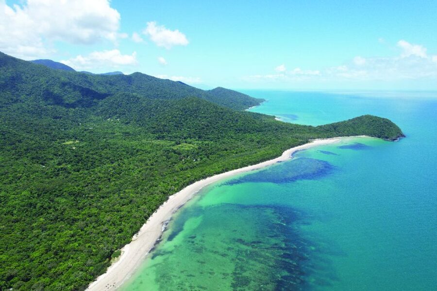 Daintree River Rainforest: Crocodile & Wildlife Cruises (DG) - What the guide adds to the outing
