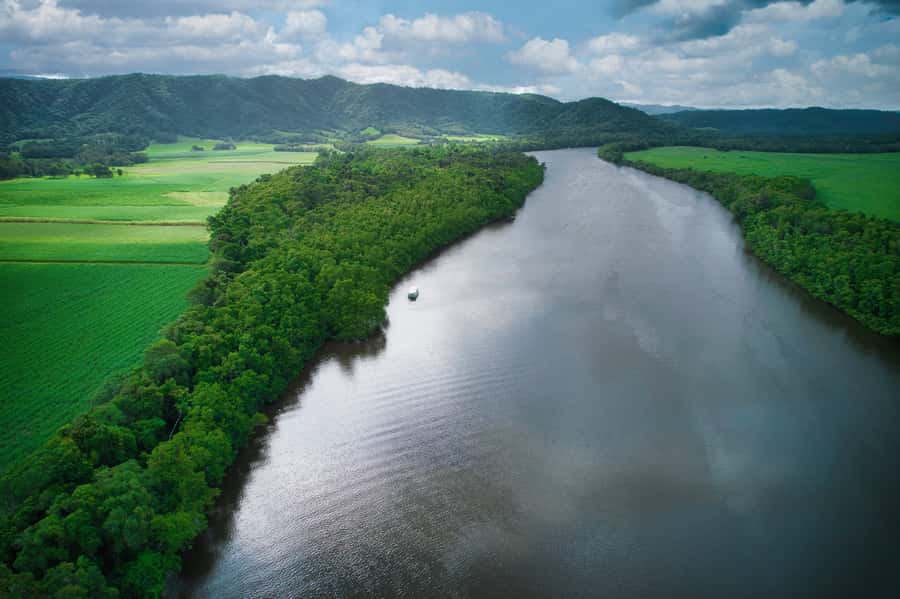 Daintree River Rainforest: Crocodile & Wildlife Cruises (DG) - Checking in at Crocodile Express Kiosk