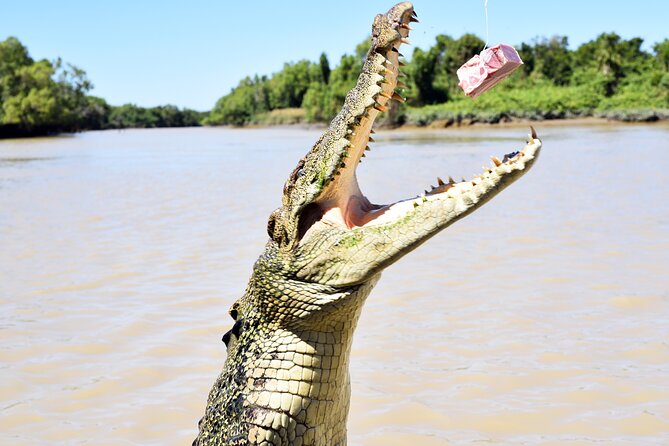 Darwin: Adelaide River Queen Original Jumping Crocodile Cruise - What happens once the Queen leaves the bridge