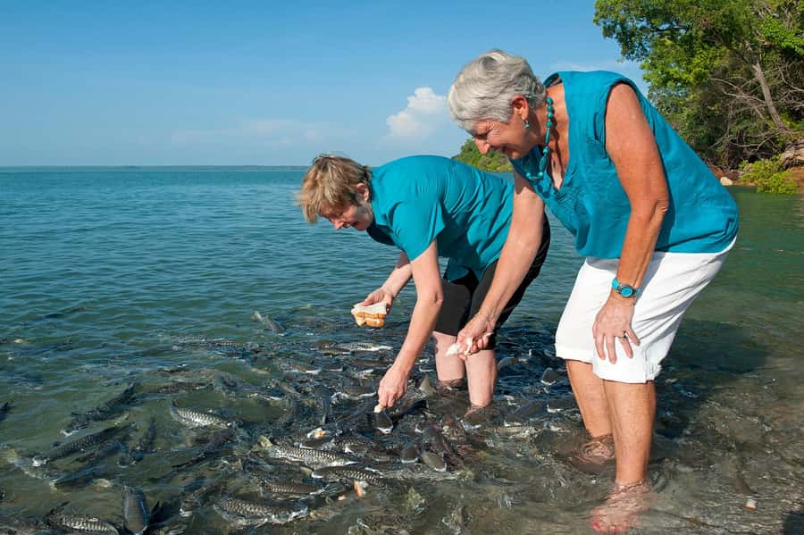 Darwin: Aquascene Fish Feeding Experience - Choosing the platform or the water