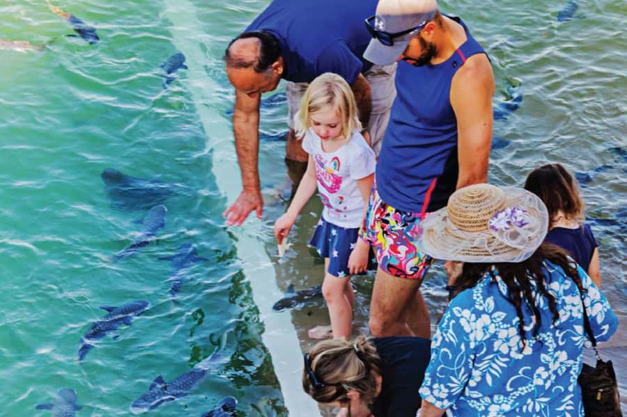 Darwin: Aquascene Fish Feeding Experience - Timing is the one detail you cannot ignore