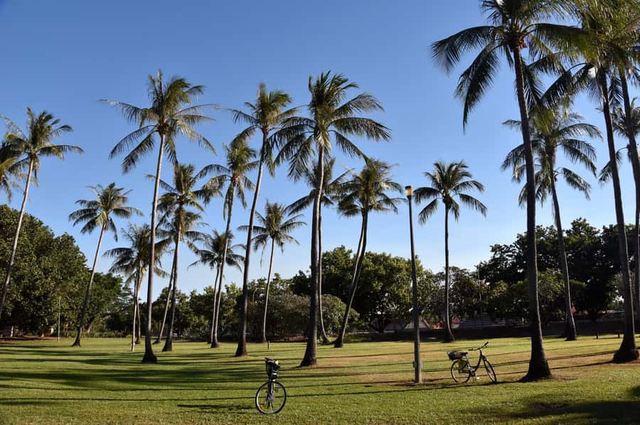 Darwin: Big Bus Open-Top Hop-on Hop-off Tour - Military Museum and the 90-minute tour option