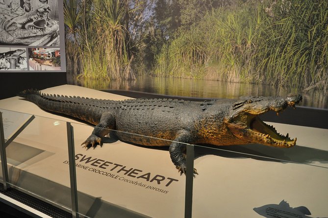 Darwin City Explorer Tour - Defence of Darwin Experience: the tour’s emotional center
