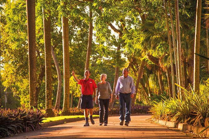 Darwin City Sightseeing Tour - MAGNT: Aboriginal art and the Cyclone Tracy story