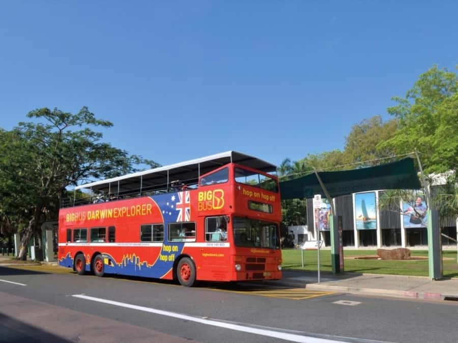 Darwin: Crocosaurus Cove Entry & Hop-on-Hop-Off Bus Tour - Crocosaurus Cove puts crocodiles at the center