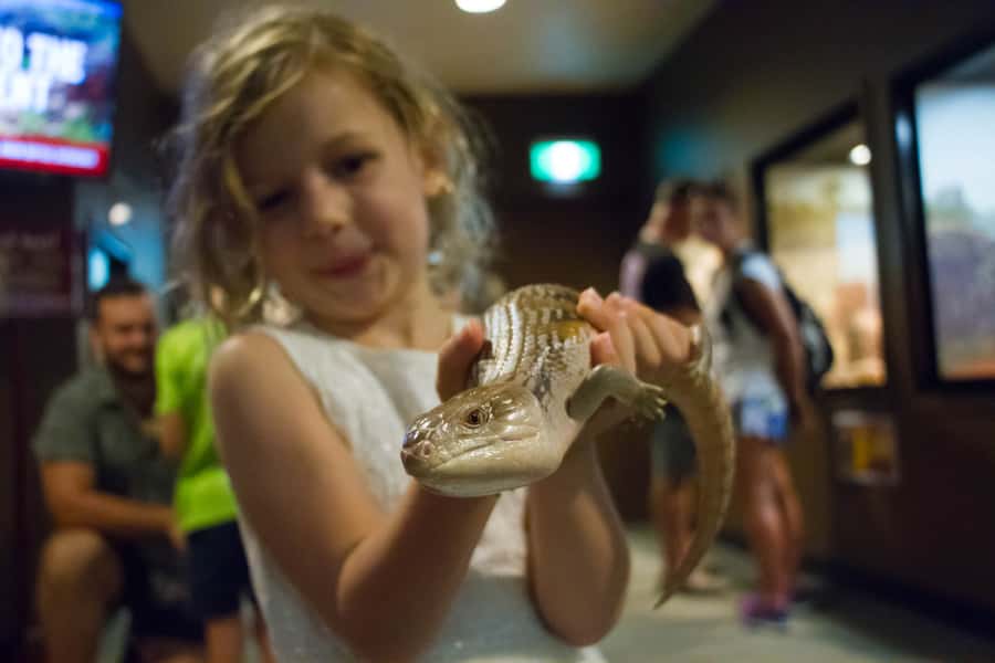 Darwin: Crocosaurus Cove Entry & Hop-on-Hop-Off Bus Tour - What each listed stop adds to the day