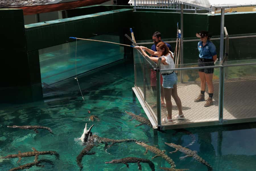 Darwin: Crocosaurus Cove Entry & Hop-on-Hop-Off Bus Tour - The $58 price makes most sense as a combined day