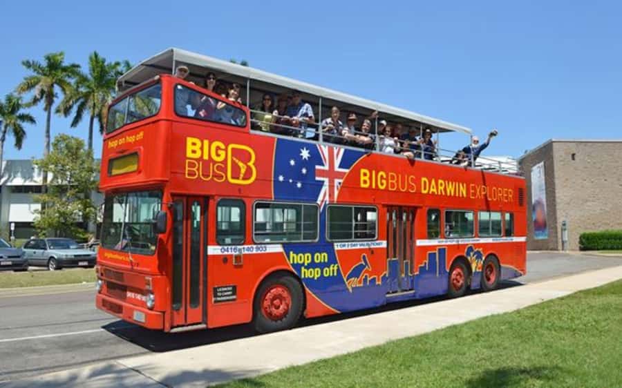 Darwin: Hop-On Hop-Off Bus, Crocosaurus Cove and RFDS Entry - Crocosaurus Cove: make room for the reptiles