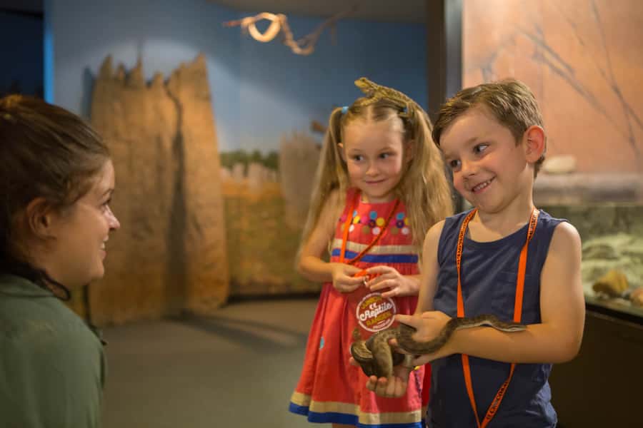 Darwin: Hop-On Hop-Off Bus, Crocosaurus Cove and RFDS Entry - The bus loop: see Darwin before choosing your stops