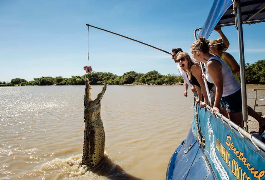 Darwin: Jumping Crocodile Cruise - The one-hour Adelaide River cruise