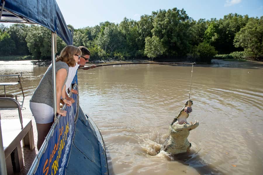 Darwin: Jumping Crocodile Cruise - What the feeding tells you about crocodiles