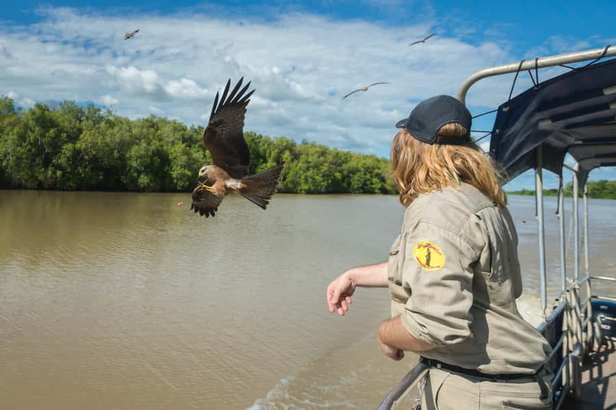 Darwin: Jumping Crocodile Cruise - Who should book this experience?
