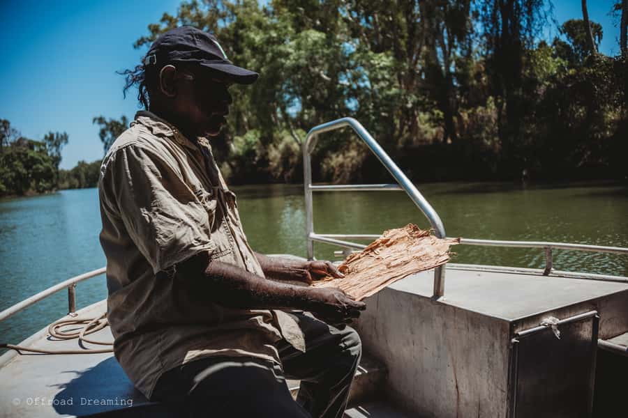 Darwin: Kakadu National Park Day Tour with Lunch - Why this is a good one-day introduction to Kakadu
