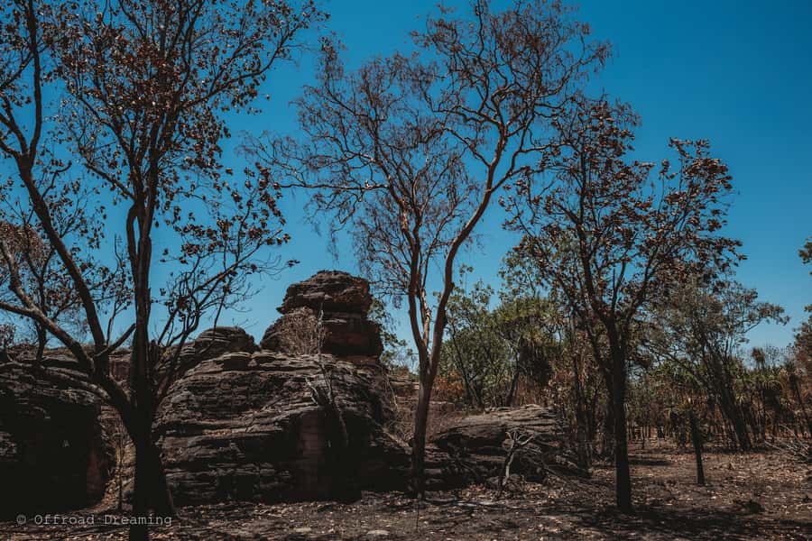 Darwin: Kakadu National Park Day Tour with Lunch - Lunch in the park, with useful extras