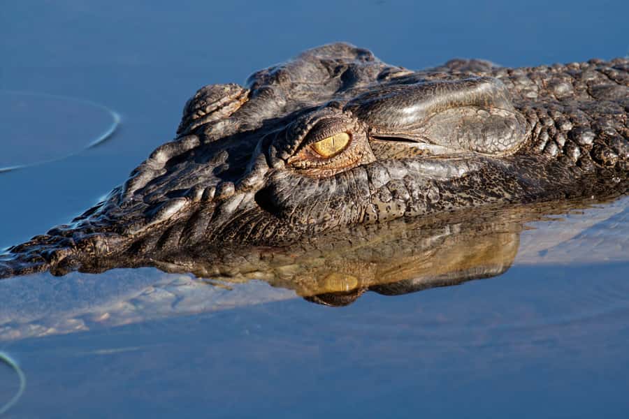 Darwin: Kakadu National Park Day Trip - Key points at a glance
