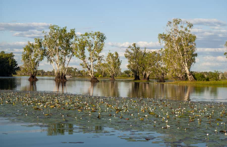 Darwin: Kakadu National Park Day Trip - Why the Kakadu flight changes the whole day